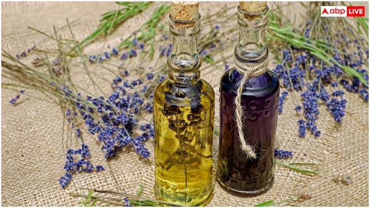 सरसों के मिलावटी तेल से पाचन तंत्र भी प्रभावित होता है. इसका इस्तेमाल लगातार करने से अपच, गैस और पेट दर्द जैसी दिक्कतें हो सकती हैं. मिलावटी तेल से पाचन एंजाइम्स प्रभावित होते हैं, जिससे पोषक तत्वों का अवशोषण कम हो सकता है.