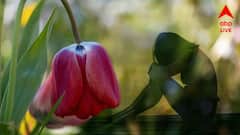 ২ সপ্তাহ ফ্ল্যাটের ভিতর পড়ে পচছে দেহ, দরজা ভেঙে রহস্যজনকভাবে মৃত অভিনেত্রীকে বের করল পুলিশ