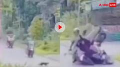 बिल्ली के रास्ता काटते ही हो गया कांड, अपशगुन का इससे मजेदार वीडियो पहले नहीं देखा होगा