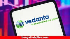 এবার ভারতীয় কোম্পানির ওপর ভাইসরয় রিসার্চের 'বোমা', মার্কিন শর্ট-সেলারের মন্তব্যে বেদান্তের শেয়ারে ধস
