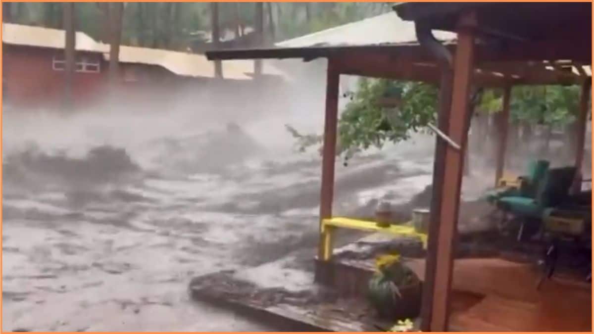 New Mexico Flash Flood: மெக்சிகோவை புரட்டிப்போட்ட காட்டாற்று வெள்ளம்; அடித்துச் செல்லப்பட்ட வீடு - அதிர்ச்சி வீடியோ