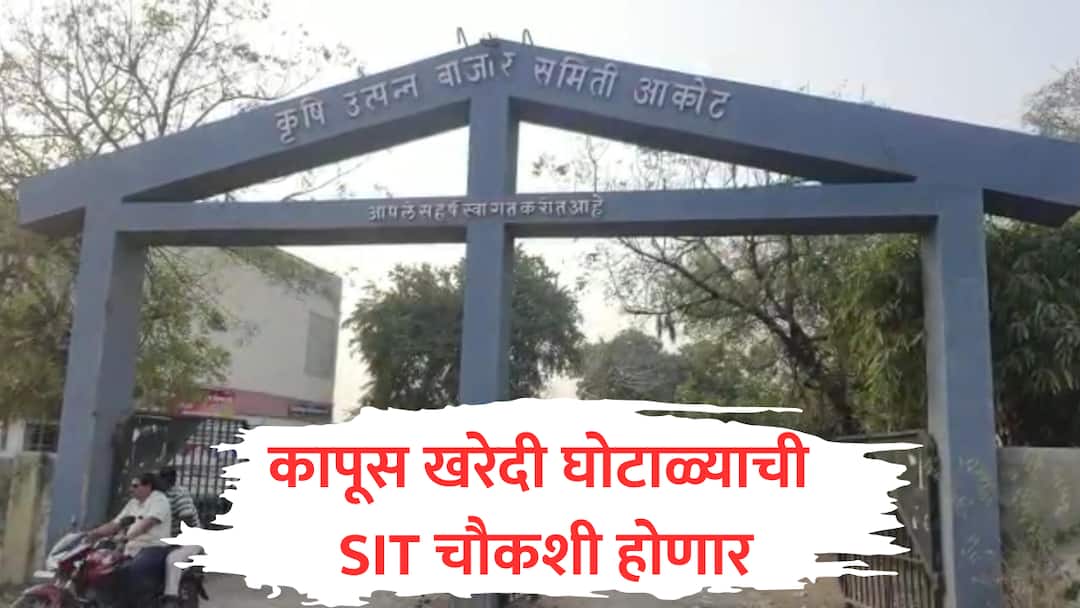 कापूस खरेदी घोटाळ्याची SIT चौकशी होणार, दोन हजार कोटींहून अधिक भ्रष्टाचार झाल्याचा आरोप