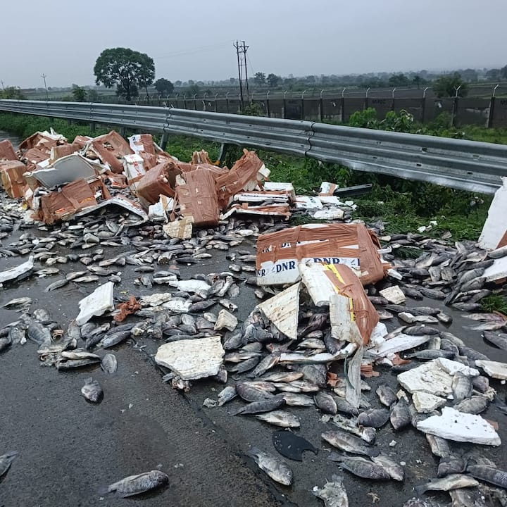 सदर अपघातामधील जखमींवर मेहकर येथील शासकीय रुग्णालयात उपचार सुरू आहेत.