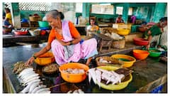 India’s Fish Output Doubles To 195 Lakh Tonnes Over 11 Years