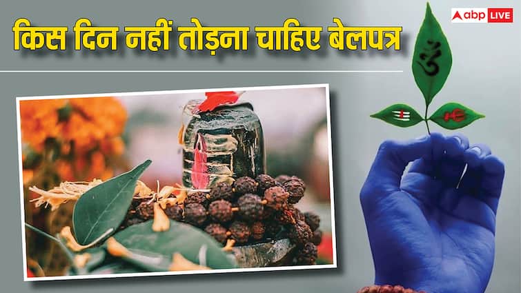 सावन में रोज चढ़ाएं बेलपत्र, लेकिन इन दिनों में भूलकर भी न तोड़ें