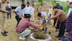 47 लाख पौधों से संवरेगी की फिरोजाबाद जनपद की आबो हवा, पौधारोपण महा अभियान शुरू