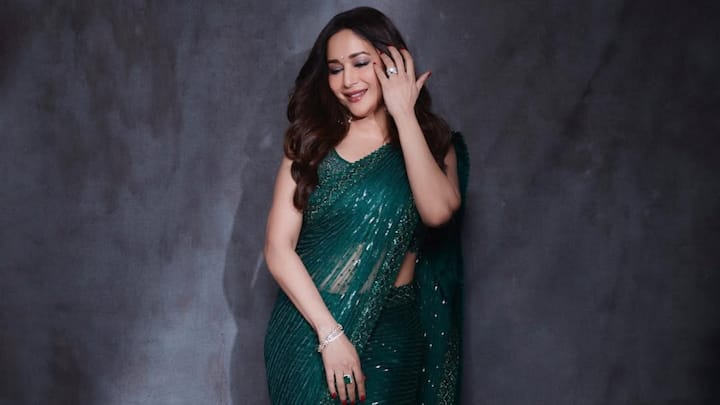 Sequin Sheer Glamour: Madhuri added glitz to the season in this dark green sheer sequined saree paired with a sleeveless blouse. The shine and beauty of this appearance make it perfect for evening Hariyali Teej events. (Image Source: Instagram/ madhuridixitnene)