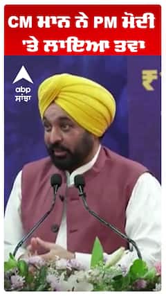 CM ਮਾਨ ਨੇ PM ਮੋਦੀ 'ਤੇ ਲਾਇਆ ਤਵਾ