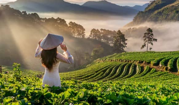 इतिहास, संस्कृति और खूबसूरत प्राकृतिक नजारों से भरा वियतनाम भारतीयों के लिए बेहद किफायती डेस्टिनेशन है. यहां की स्ट्रीट फूड और लोकल ट्रैवल बेहद सस्ते हैं. यहां पर लगभग 45,000 से 90,000 तक का खर्च आएगा.
