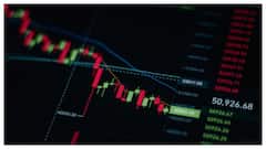 Vedanta Shares Plunge After Short Seller Alleges Financial Risk; Check Details