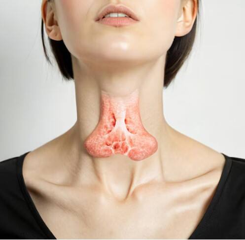 ਥਾਇਰਾਇਡ ਦੇ ਮਰੀਜ਼ਾਂ ਨੂੰ ਵ੍ਹਾਈਟ ਬਰੈੱਡ ਤੋਂ ਬਚਣਾ ਚਾਹੀਦਾ ਹੈ। ਇਹ ਸਰੀਰ ਵਿੱਚ ਸ਼ੂਗਰ ਦੇ ਪੱਧਰ ਨੂੰ ਅਚਾਨਕ ਵਧਾ ਦਿੰਦੀ ਹੈ, ਜਿਸ ਨਾਲ ਇਨਸੁਲਿਨ ਦਾ ਪੱਧਰ ਚੜ੍ਹ ਜਾਂਦਾ ਹੈ। ਇਸ ਕਾਰਨ ਥਾਇਰਾਇਡ ਹਾਰਮੋਨ ਦਾ ਸੰਤੁਲਨ ਖਰਾਬ ਹੋ ਸਕਦਾ ਹੈ। ਖਾਲੀ ਪੇਟ ਵ੍ਹਾਈਟ ਬਰੈੱਡ ਖਾਣੀ ਬਿਲਕੁਲ ਨਹੀਂ ਚਾਹੀਦੀ।