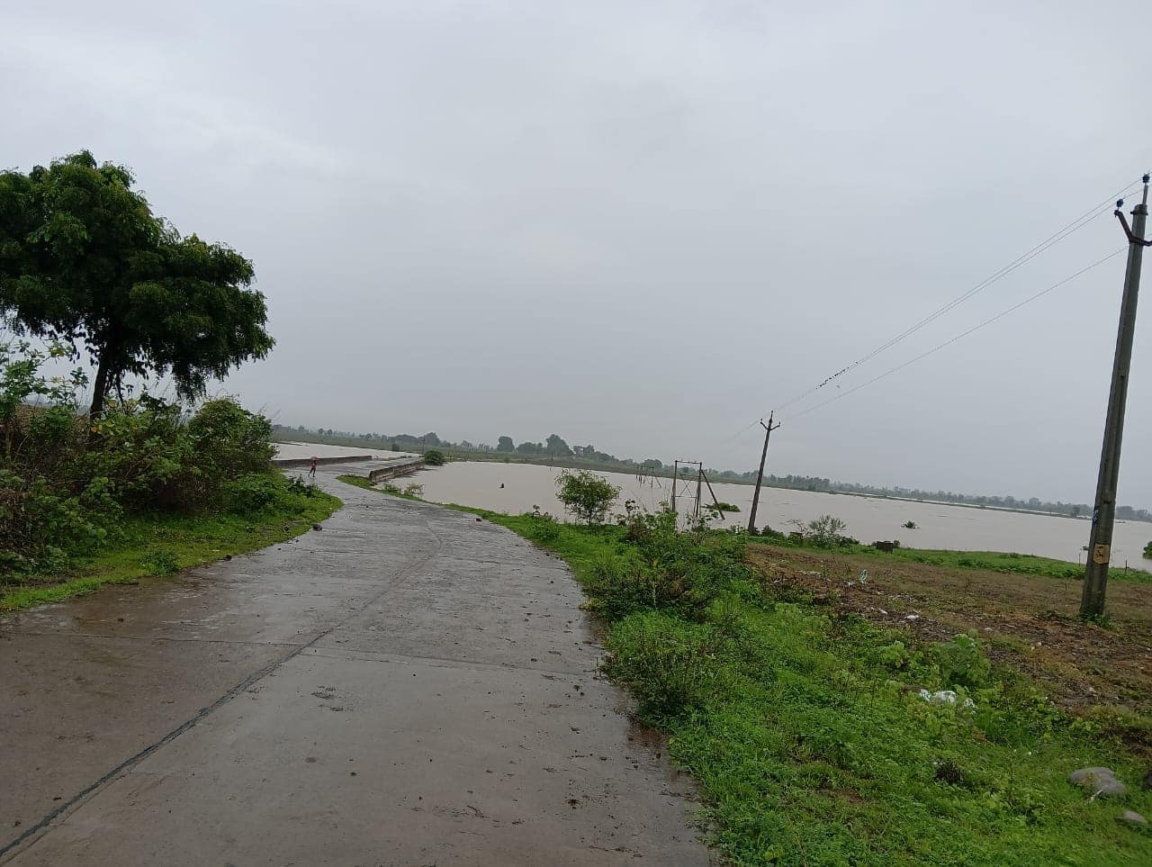 Adilabadలో భారీ వర్షాలు: రైతుల ఆనందం, లోతట్టు ప్రాంతాలకు ముప్పు! మంత్రి అలర్ట్ !