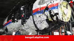 'ক্ষেপণাস্ত্র ছুড়ে নামানো হয় বিমান, ২৯৮ জনের মৃত্যু তাতেই', MH17 নিয়ে দোষী সাব্যস্ত রাশিয়া