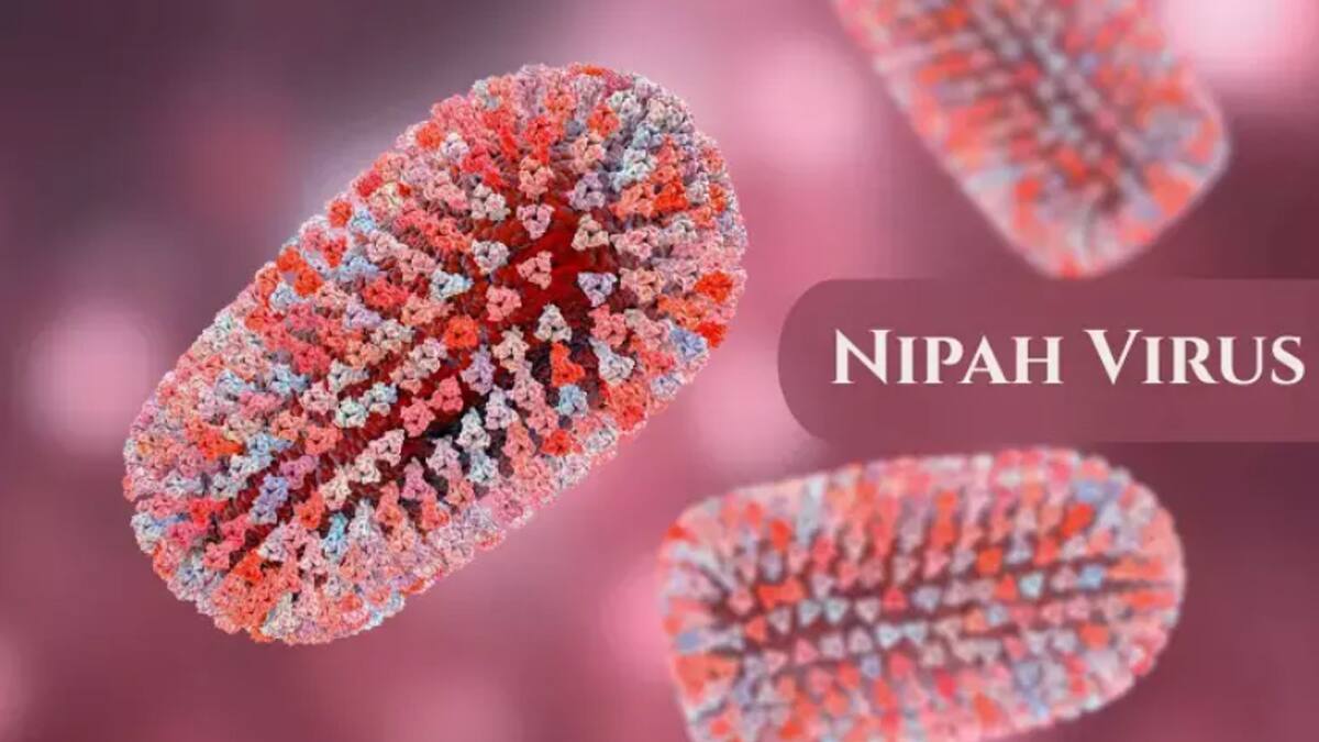 மீண்டும் நிபா வைரஸ்: அச்சம் தரும் அறிகுறிகள்! 383 பேர் கண்காணிப்பில், தடுப்பூசி இல்லையா?
