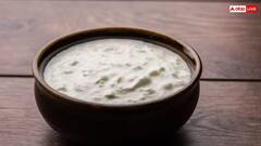 बरसात के मौसम में क्या वाकई नहीं खानी चाहिए दही? जान लीजिए क्या है सच