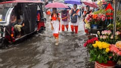 সরছে নিম্নচাপ, থাকছে বৃষ্টি; আগামী সপ্তাহে ফের দুর্যোগের পূর্বাভাস