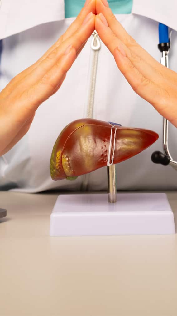 সুস্থ রাখা প্রয়োজন এই অঙ্গ, কী কী খেয়ে পরিষ্কার রাখবেন লিভার ?