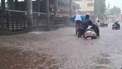 Rain Forecast: સાવધાન! કાલે ગુજરાતમાં ગાજવીજ સાથે વરસાદ તૂટી પડશે, 7 જિલ્લામાં 'યલો એલર્ટ' જાહેર