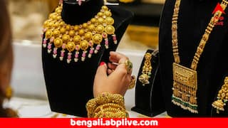 Gold Silver Price: গুরু পূর্ণিমার দিনে সোনার দামে কী বদল ? আজ কি কম দামে কেনার সুযোগ রয়েছে ?