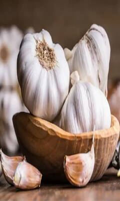 ਸਵੇਰੇ ਲੱਸਣ ਦੀ ਇੱਕ-ਦੋ ਕਲੀ ਖਾਣ ਦੇ ਚਮਤਕਾਰੀ ਫਾਇਦੇ: ਬਿਮਾਰੀਆਂ ਭੱਜ ਜਾਣਗੀਆਂ, ਸਿਹਤ ਚਮਕ ਜਾਵੇਗੀ!