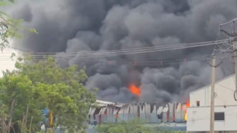 Massive Fire Breaks Out At Mattress Factory In Andhra’s Eluru: VIDEO