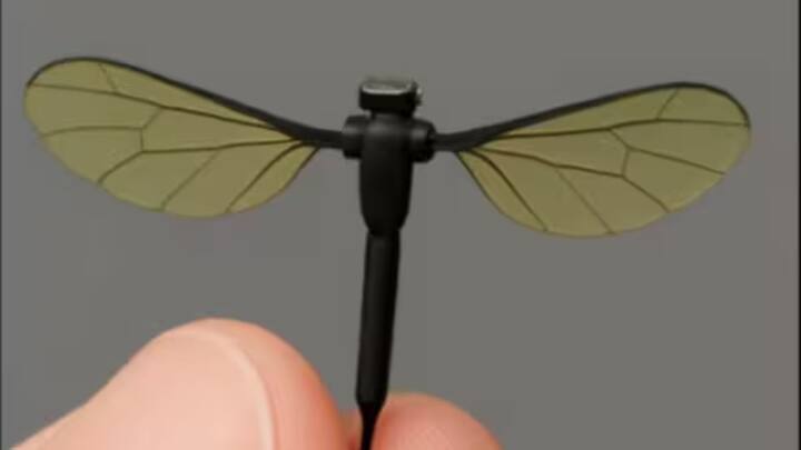 चीन के हुनान प्रांत में नेशनल यूनिवर्सिटी ऑफ डिफेंस टेक्नोलॉजी (NUDT) एक रोबोटिक्स लेबोरेटरी के तहत काम करती है. इस लैब में मच्छर के साइज जितना ड्रोन तैयार किया गया है.