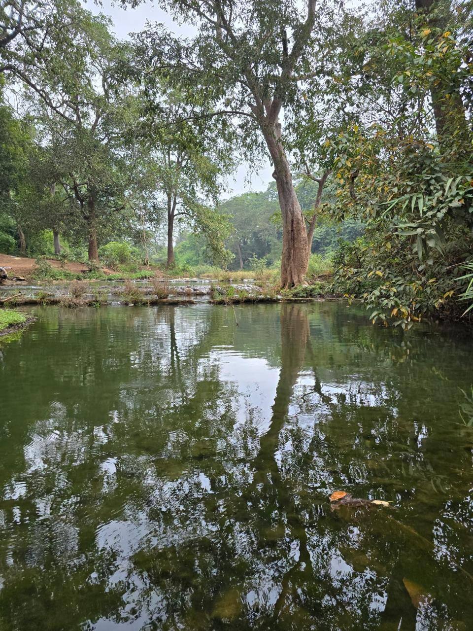 बारिश में बस्तर के प्राकृतिक सौंदर्य का दिलकश नजारा, पर्यटकों के लिए 'मानसून ट्रैकिंग' का खास इंतजाम