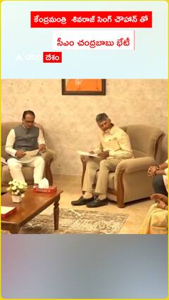 కేంద్రమంత్రి శివరాజ్ సింగ్ చౌహాన్ ను కలిసిన సీఎం చంద్రబాబు నాయుడు