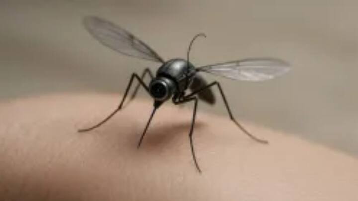 रिपोर्ट्स की मानें तो इस तरह के ड्रोन के लिए किसी भारी सेटअप की जरूरत नहीं है, बल्कि इसे स्मार्टफोन के जरिए भी कंट्रोल किया जा सकता है.