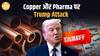 Trump का बड़ा फैसला! Copper और Pharma पर 200% टैक्स| India को बड़ा झटका!| Paisa Live