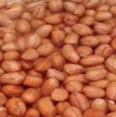 ਭਿੱਜੀ ਹੋਈ ਮੂੰਗਫਲੀ ਖਾਣ ਦੇ ਸ਼ਾਨਦਾਰ ਫਾਇਦੇ: ਹਾਜਮੇ 'ਚ ਸੁਧਾਰ ਸਣੇ ਦਿਲ ਦੀ ਸਿਹਤ ਲਈ ਲਾਭਕਾਰੀ