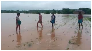 Adilabadలో భారీ వర్షాలు: రైతుల ఆనందం, లోతట్టు ప్రాంతాలకు ముప్పు! మంత్రి అలర్ట్ !