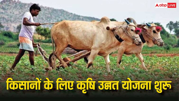 कृषि उन्नत योजना से किसानों की होगी मौज, जानें कैसे कर सकते हैं आवेदन krishi unnat yojana for farmers know how they get benefits what is the process of applying कृषि उन्नत योजना से किसानों की होगी मौज, जानें कैसे कर सकते हैं आवेदन
