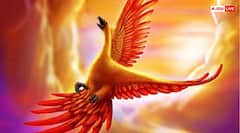 Vastu Tips: अमीर लोगों के घर दक्षिण दिशा में होती हैं ये 5 चीजें