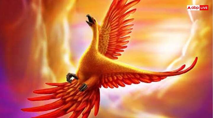 घर के दक्षिण दिशा की दीवार पर फिनिक्स चिड़िया की तस्वीर या पेंटिग लगाना भी शुभ माना जाता है. इस दिशा में इस पक्षी की तस्वीर लगाने से गरीबी दूर होती है और धन आगमन होता है. साथ ही घर पर रह रहे लोगों का स्वास्थ्य भी अच्छा रहता है. आप लिविंग हॉल की दक्षिण दीवार पर भी इस पक्षी की तस्वीर लगा सकते हैं.