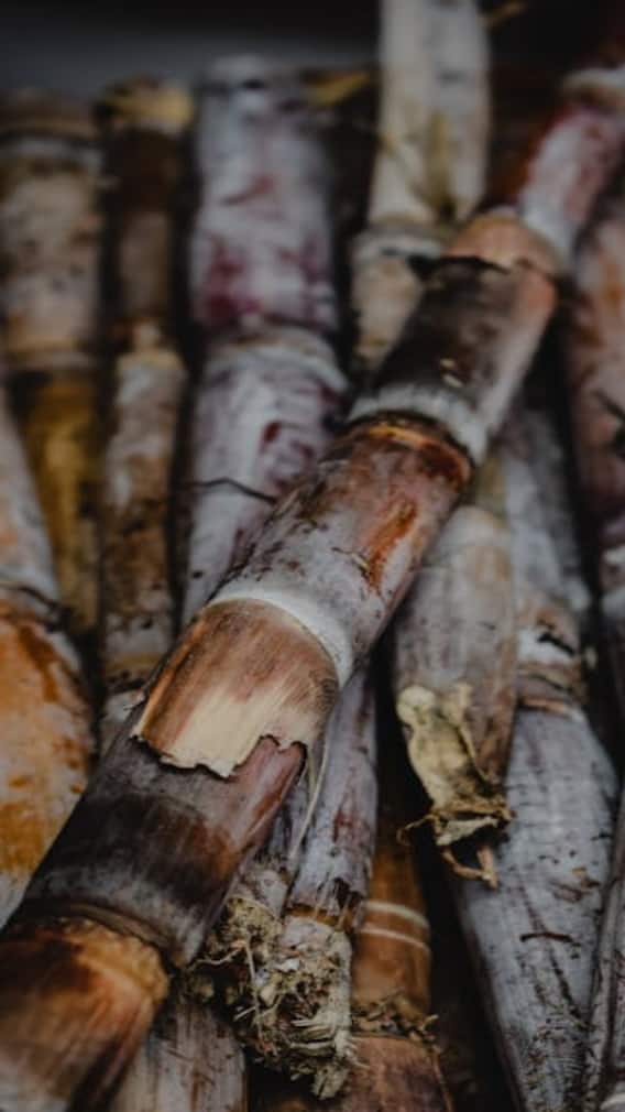 'या' लोकांसाठी ऊसाचा रस विषासमान, अजिबात पिऊ नका!