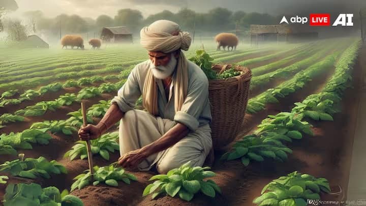 Big Boost For Small Farmers: 1,100 FPOs Record Over Rs 1 Crore Turnover Under Govt Scheme