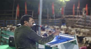 தடையை மீறி தேனி மேற்கு தொடர்ச்சி மலையில் மேய்ச்சலுக்கு செல்வேன் - சீமான் பேச்சு !