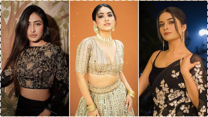 Bigg Boss 19 Contestants: टीवी के सबसे पॉपुलर शोज में से एक 'बिग बॉस' के 19वें सीजन के लिए कई नाम सामने आ रहे हैं. यहां देखिए कौन-कौन हैं वो जो सलमान खान के शो में दिख सकते हैं.