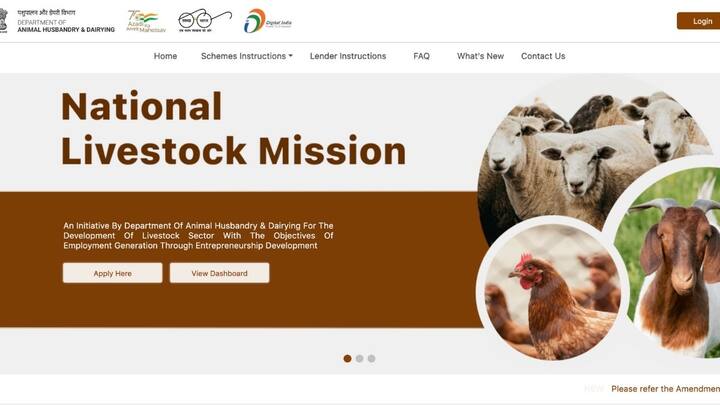 इस स्कीम में आवेदन करने के लिए आपको सबसे पहले nlm.udyamimitra.in पर रजिस्ट्रेशन करना होगा. फिर लॉगिन कर 'Goat Farming Scheme' सिलेक्ट करनी होगी. इसके बाद मांगी गई जानकारी भरनी होगी और दस्तावेज़ अपलोड करने होंगे.
