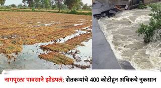 Nagpur Heavy Rain: सलग तीन दिवसाच्या पावसाने नागपूरची दाणादाण; 6 हजार 779 हेक्टर क्षेत्रावरील पिकांचे नुकसान, पूर्व विदर्भालाही फटका   