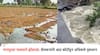 Nagpur Heavy Rain: सलग तीन दिवसाच्या पावसाने नागपूरची दाणादाण; 6 हजार 779 हेक्टर क्षेत्रावरील पिकांचे नुकसान, पूर्व विदर्भालाही फटका   