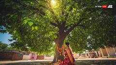पीपल के पेड़ का रहस्य! जानिए धार्मिक और वैज्ञानिक दृष्टिकोण से इसका महत्व