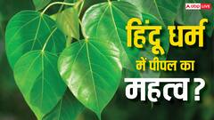 पीपल के पेड़ का रहस्य! जानिए धार्मिक और वैज्ञानिक दृष्टिकोण से इसका महत्व