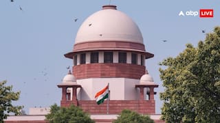 'Danger To Infants And Elderly': SC Takes Up Stray Dog Menace Issue Amid Rising Rabies Cases, Deaths