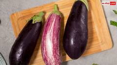 Brinjal in Monsoon: શું વરસાદની ઋતુમાં રીંગણ ખાવા ખરેખર ખતરનાક છે? આ રહ્યો જવાબ