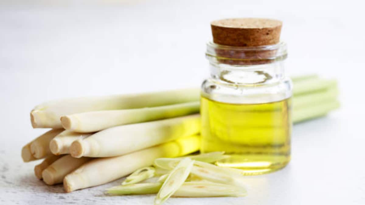 International Essential Oils Day 2025 — Nature's Secret To Bright And Glowing Skin