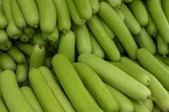 સવારે ખાલી પેટ પીવો આ શાકભાજીનું જ્યુસ, પછી જુઓ શું થાય છે કમાલ