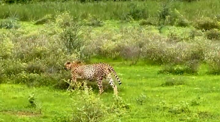 भूपेंद्र यादव ने लिखा है,