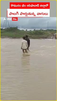 Streams overflowing in Komuram Bheem Asifabad district